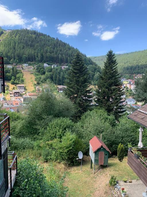 Gemuetliches Einzimmer-Apartment 33 Bad Wildbad Luaran gambar