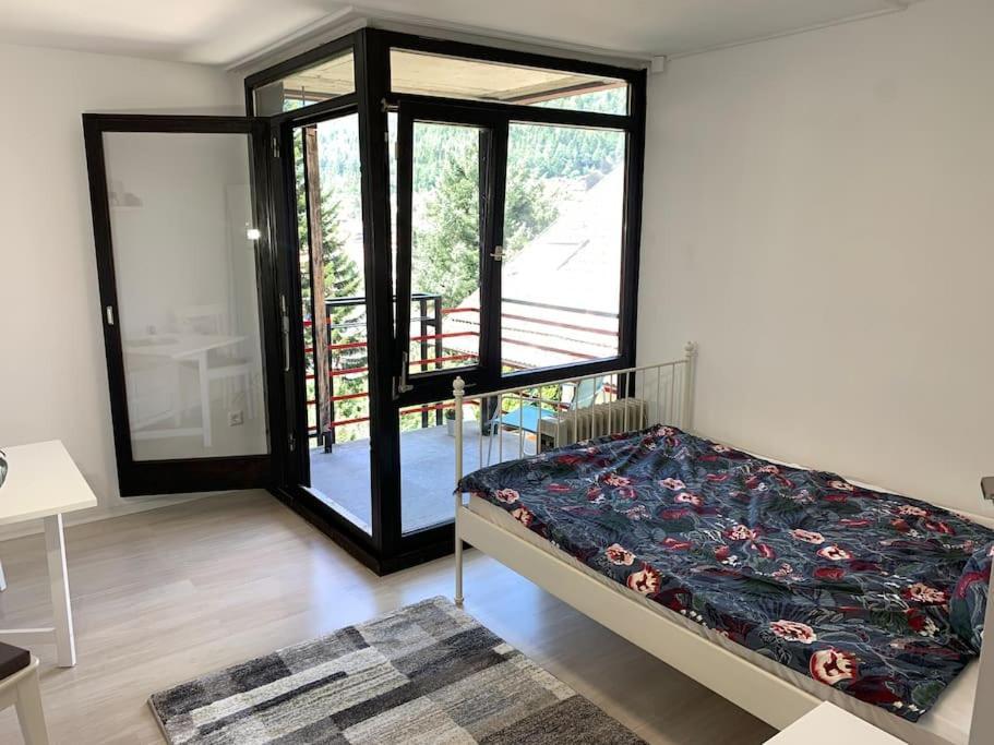 Gemuetliches Einzimmer-Apartment 33 Bad Wildbad Luaran gambar