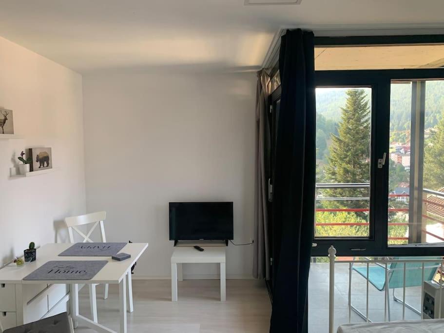 Gemuetliches Einzimmer-Apartment 33 Bad Wildbad Luaran gambar
