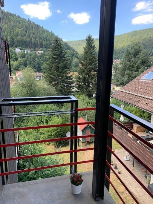 Gemuetliches Einzimmer-Apartment 33 Bad Wildbad Luaran gambar
